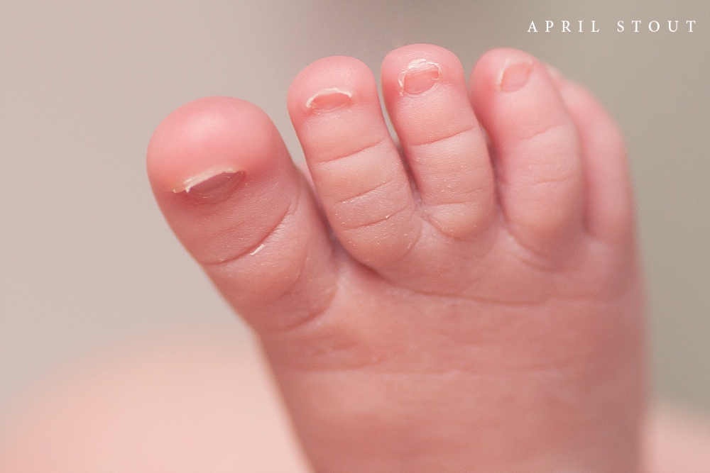 newborn-macro