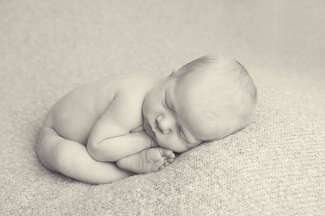 baby-girl-newborn-photography-oklahomas-best-infant-photographer-april-stout