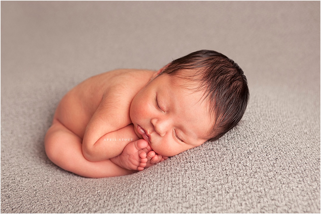 taco-pose-newborn-photography-april-stout