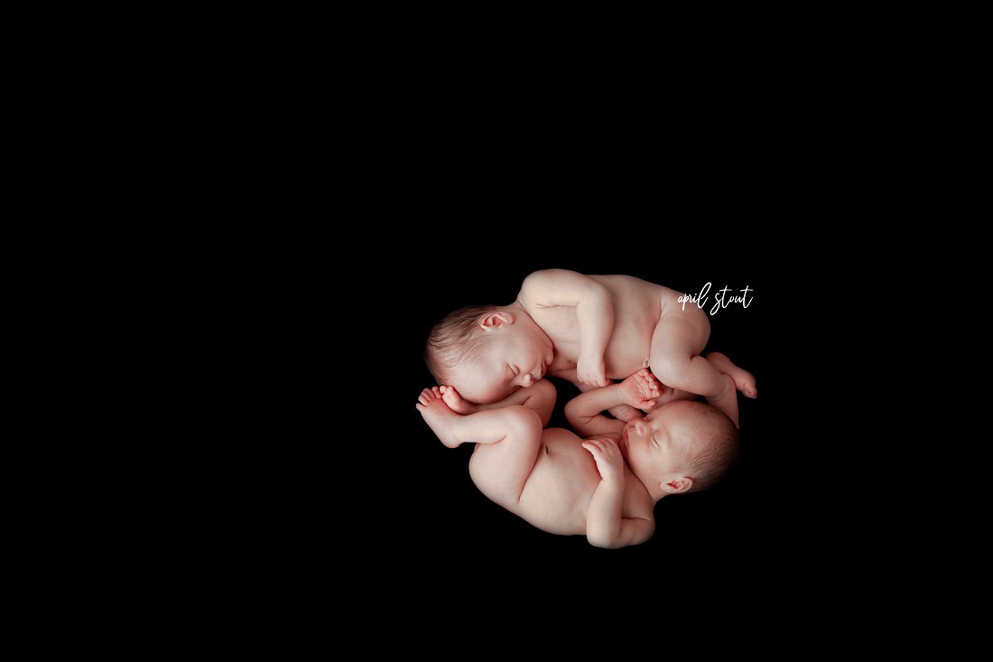 twin-newborn-infant-babies-baby-photographer-April-Stout-Oklahoma