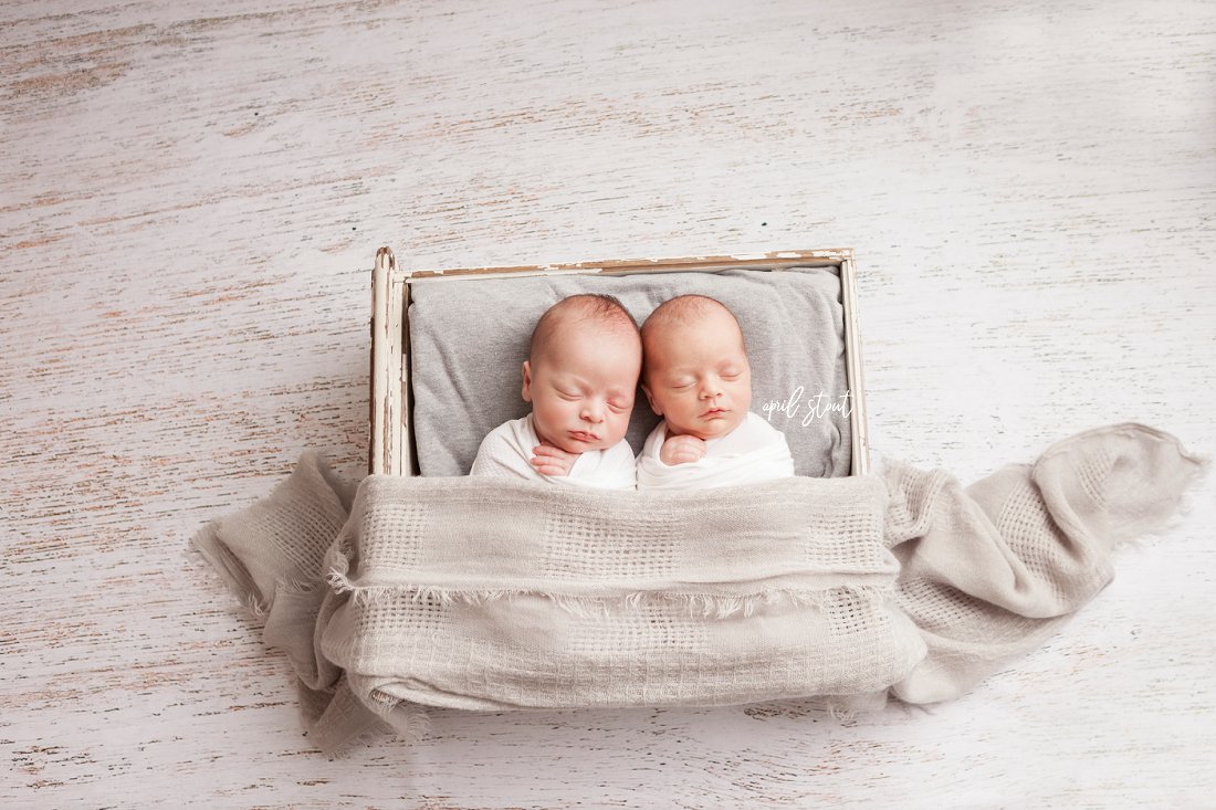 twin-newborn-infant-babies-baby-photographer-April-Stout-Oklahoma