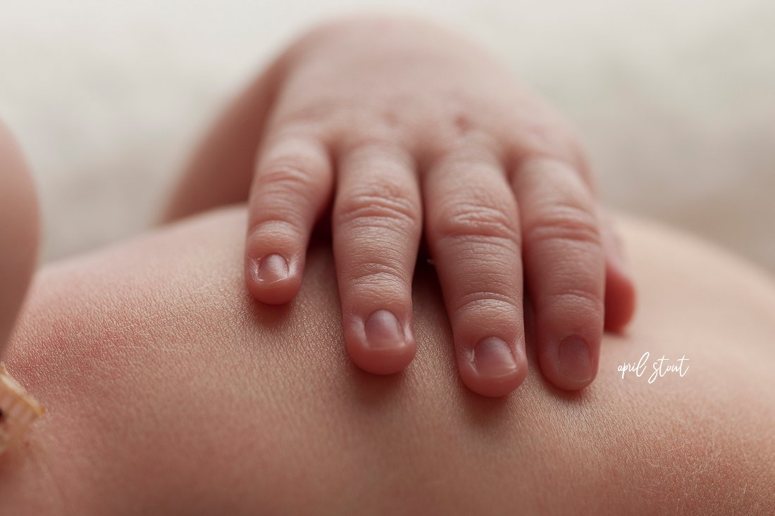 oklahoma-baby-photographer-april-stout