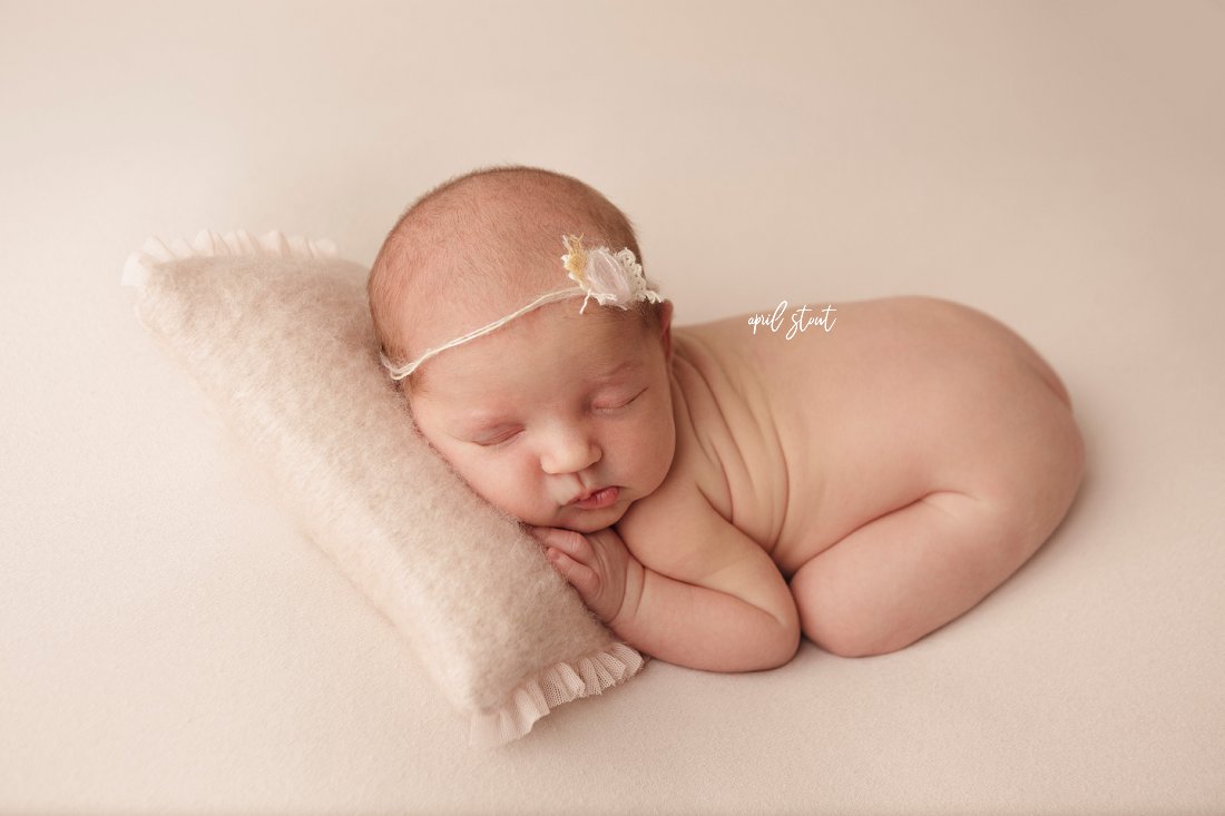 tulsa newborn photography