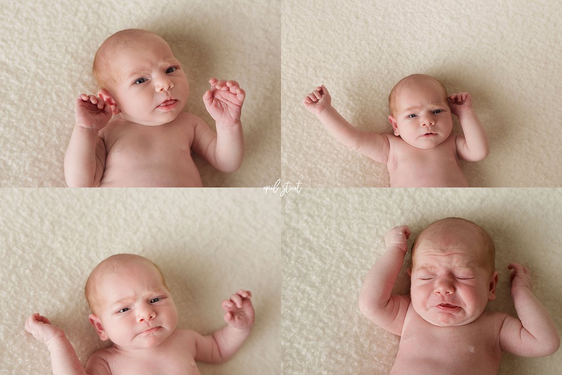 neutral baby girl photography session newborn April Stout Oklahoma