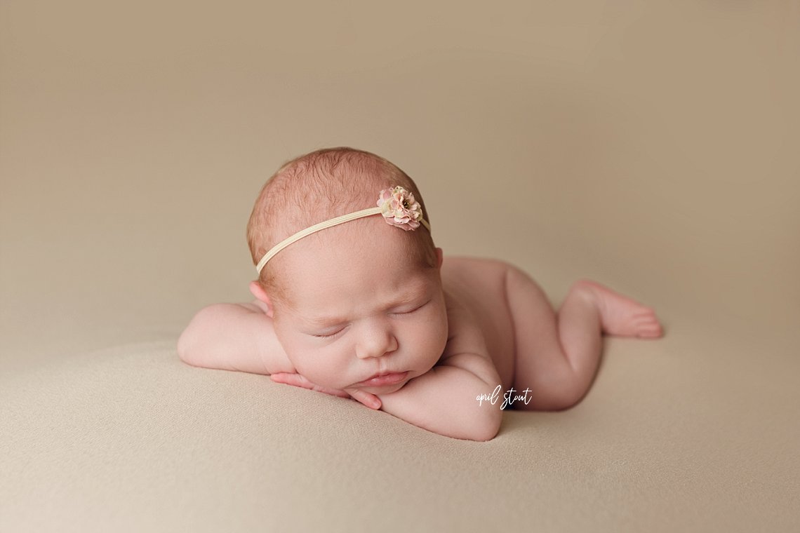 neutral baby girl photography session newborn April Stout Oklahoma