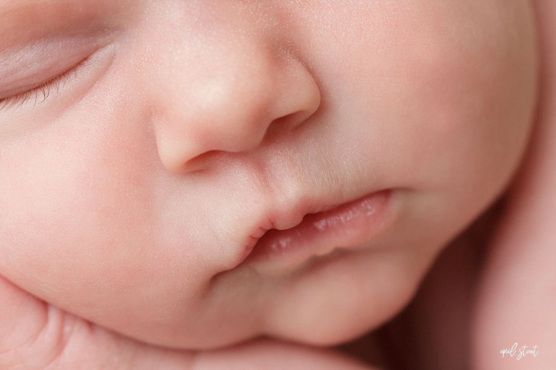 newborn detail images april stout tulsa oklahoma