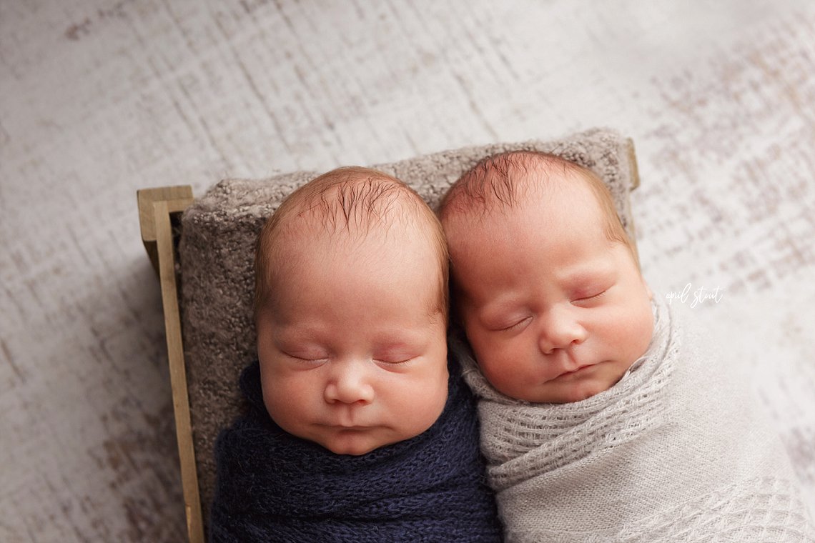 twin newborns Oklahoma photographer april stout