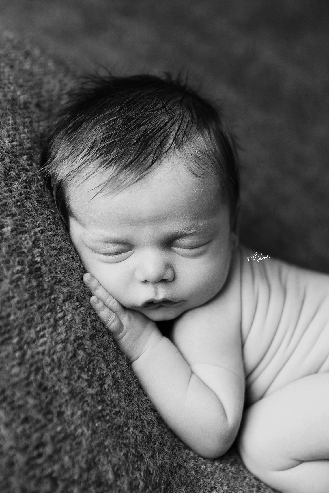 tahlequah newborn photographers