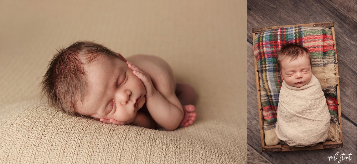 tahlequah newborn photographers