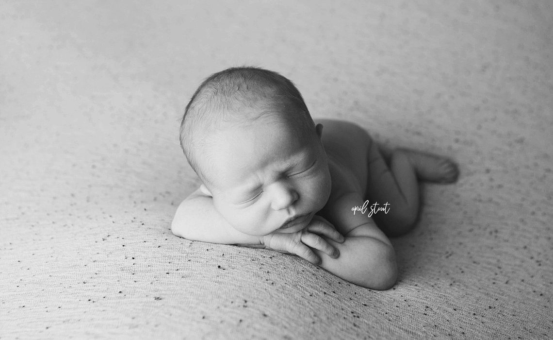 jenks oklahoma newborn photographers