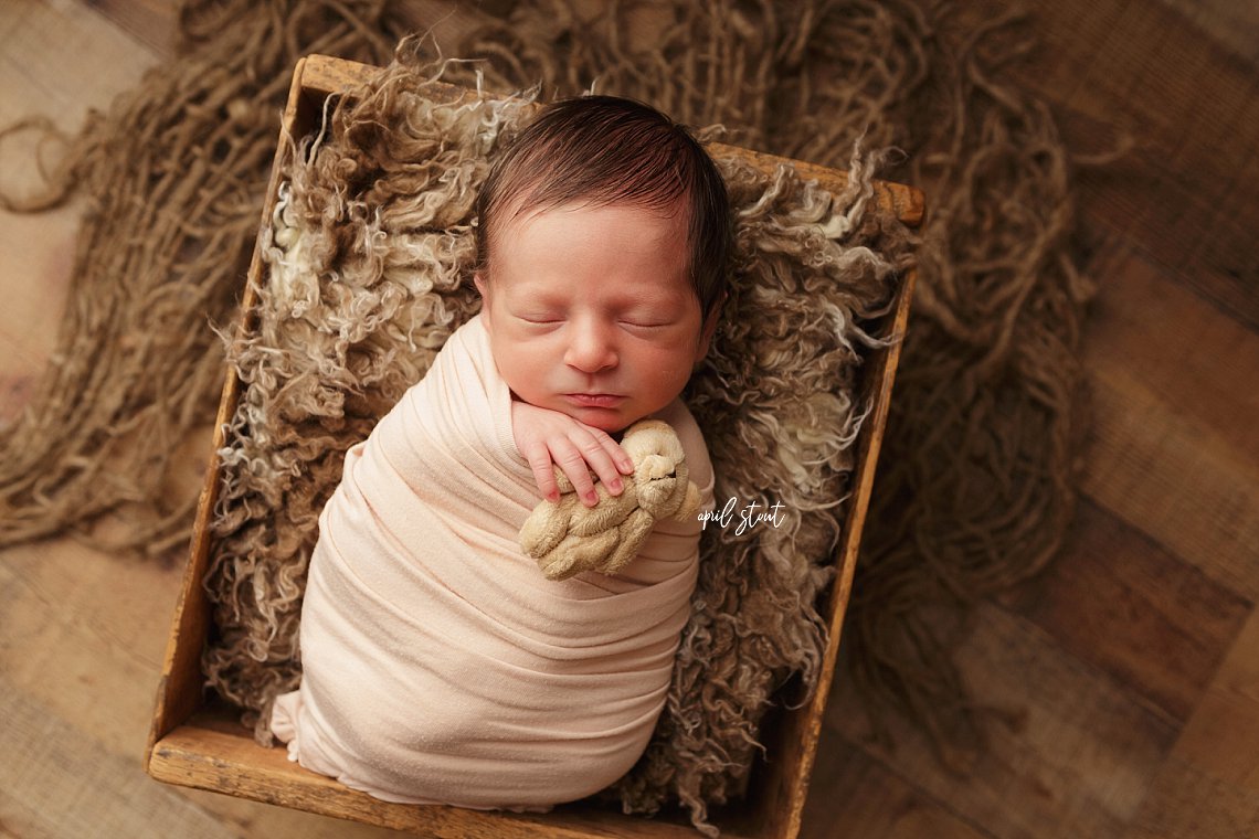 newborn photography pryor oklahoma april stout
