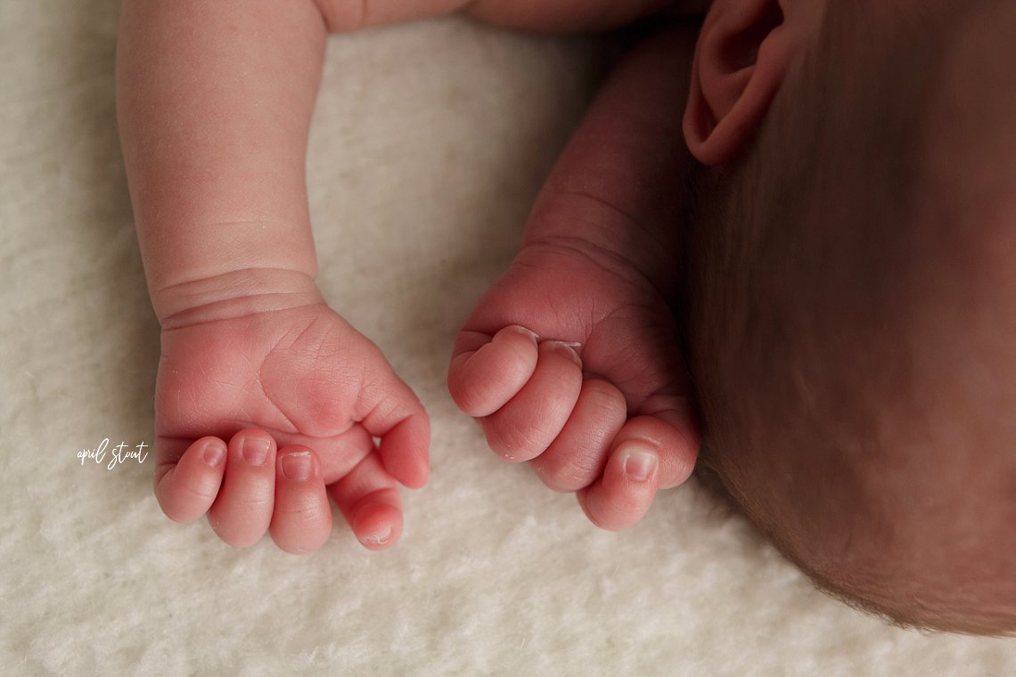 newborn twin sisters baby photography april stout tulsa pryor oklahoma