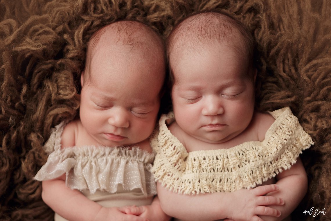 newborn twin sisters baby photography april stout tulsa pryor oklahoma