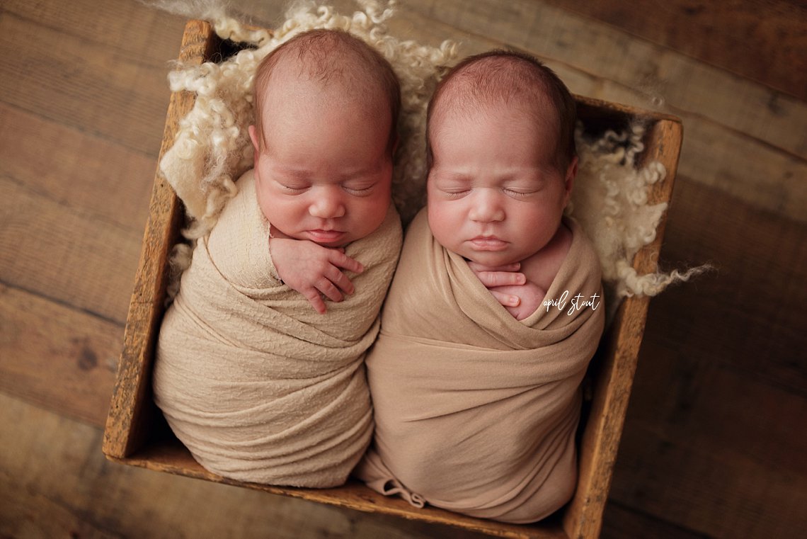 newborn twin sisters baby photography april stout tulsa pryor oklahoma