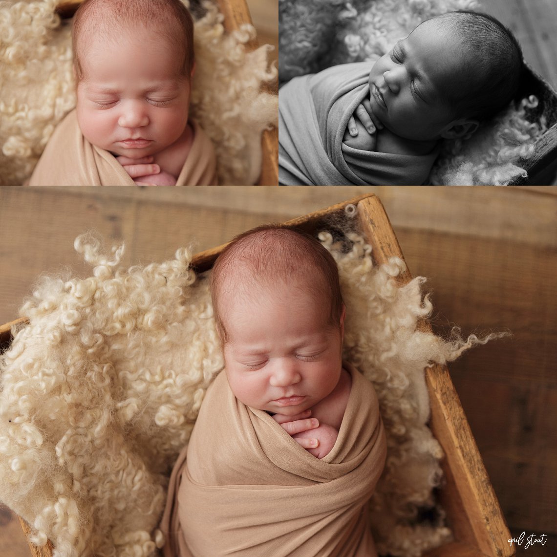 newborn twin sisters baby photography april stout tulsa pryor oklahoma