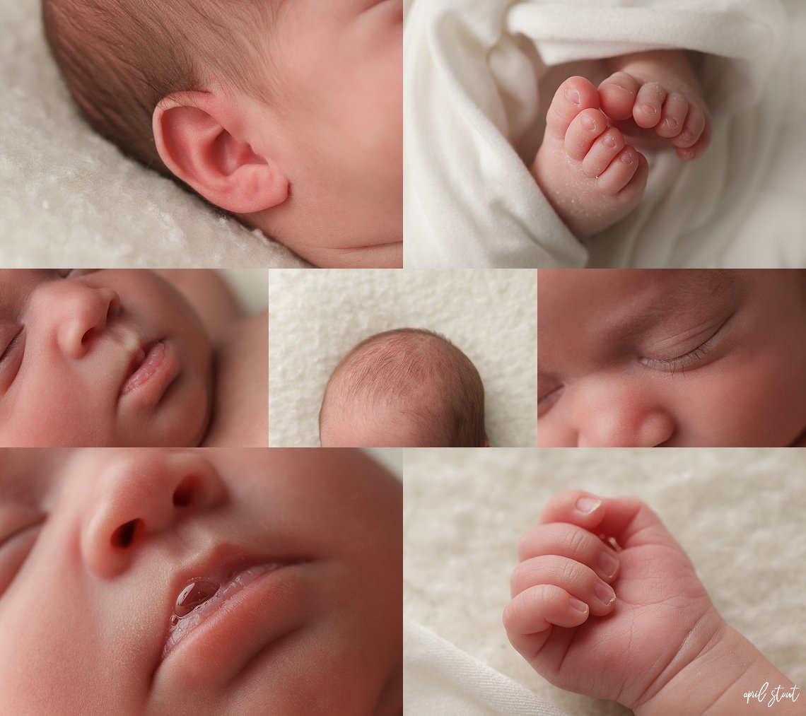 newborn twin sisters baby photography april stout tulsa pryor oklahoma