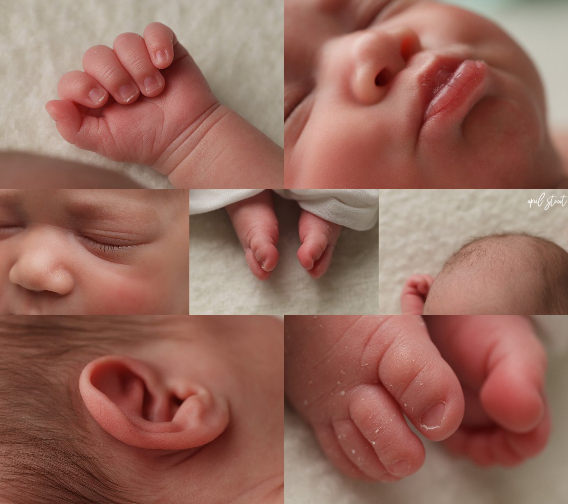 newborn twin sisters baby photography april stout tulsa pryor oklahoma