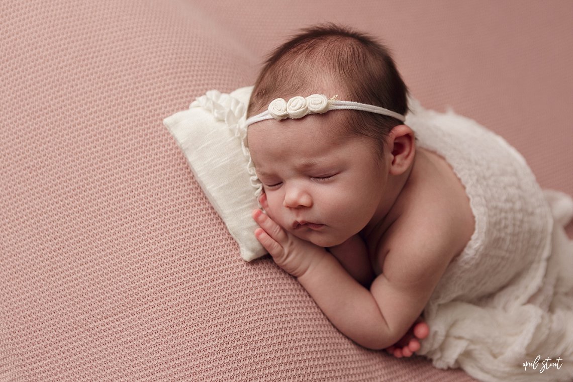 april stout newborn baby photographer