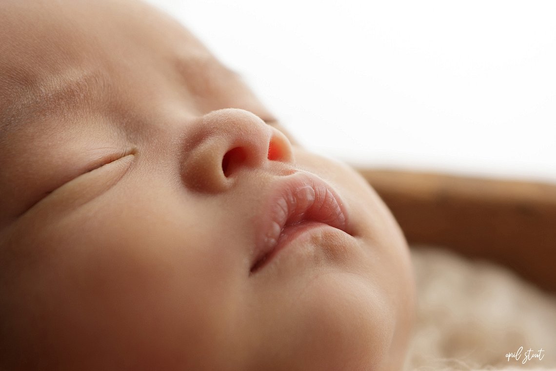newborn close up of face photographer April Stout