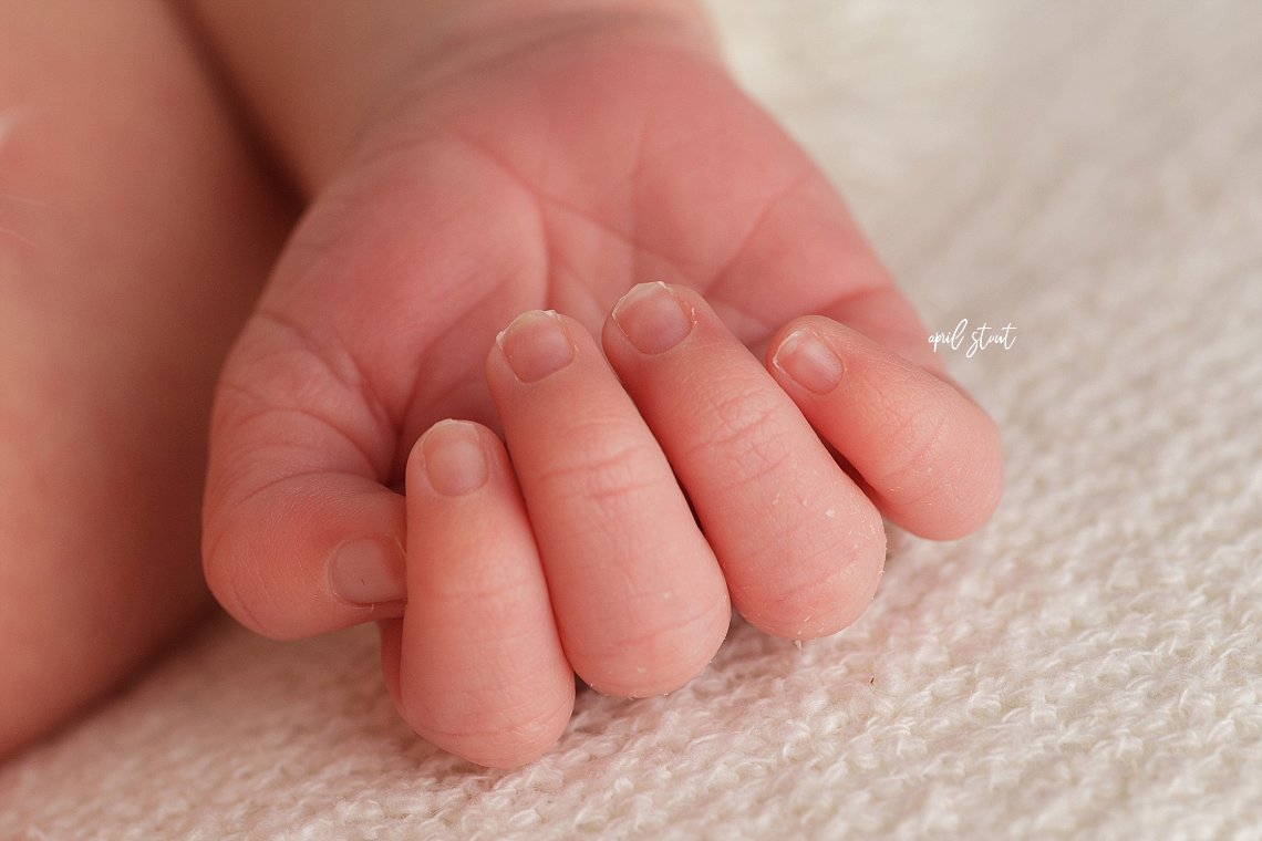 baby macro photography newborn boy hand by April Stout Photography near Tulsa Oklahoma