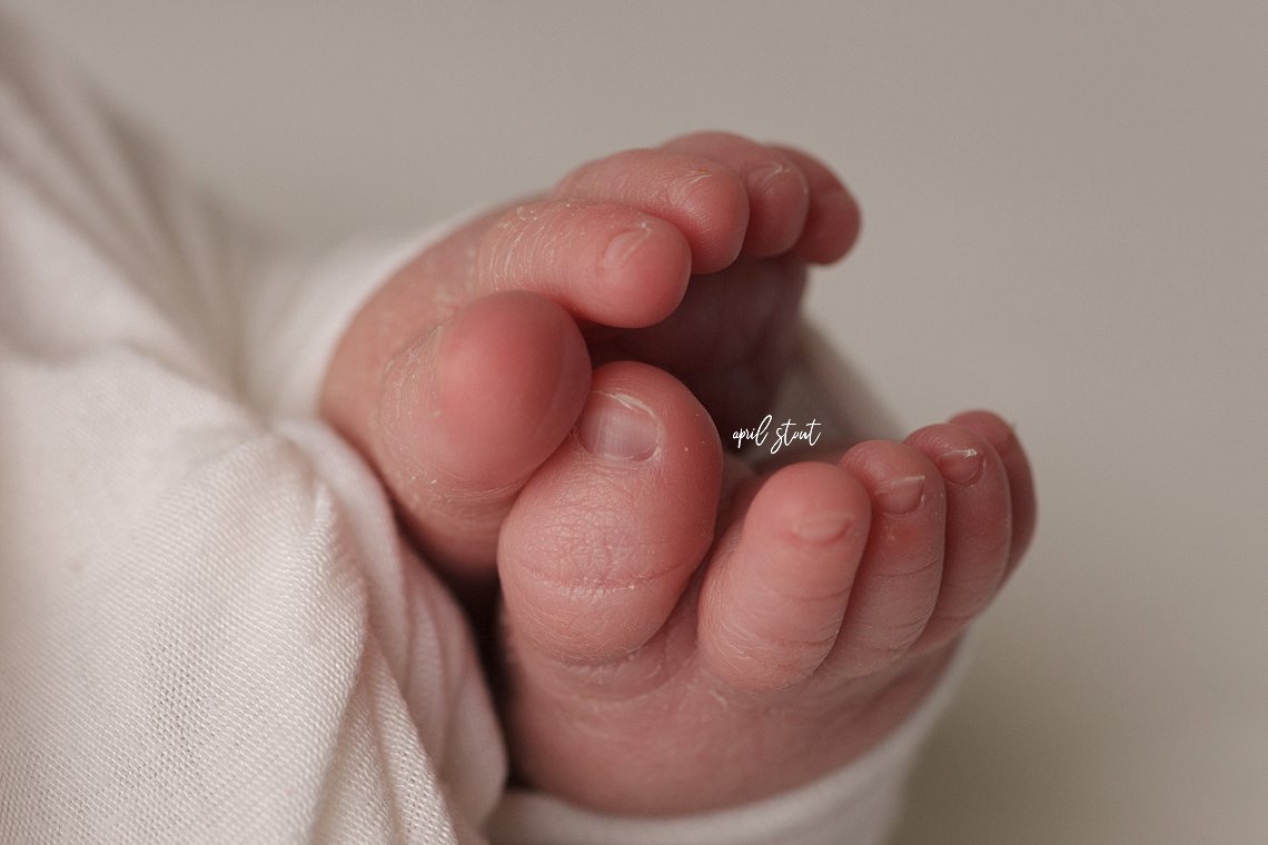 macro shot of baby feet by April Stout Photography near Jenks Oklahoma