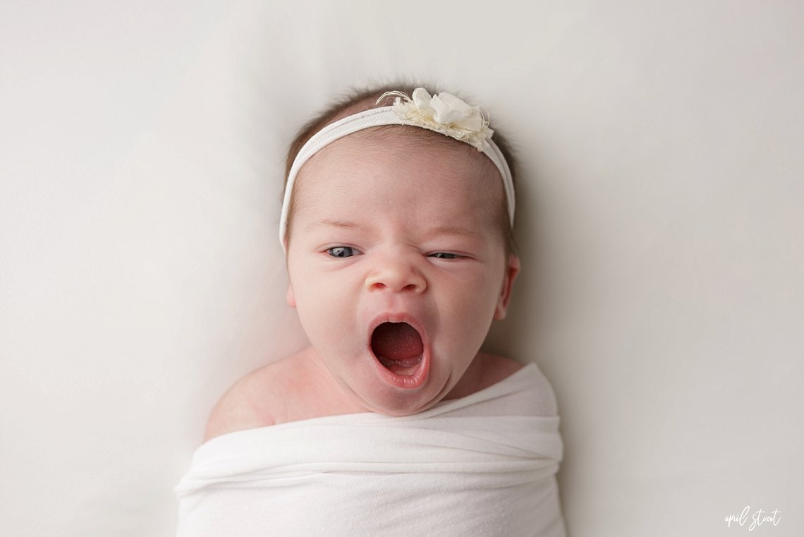simple timeless newborn portrait by april stout of baby girl swaddled on white blanket