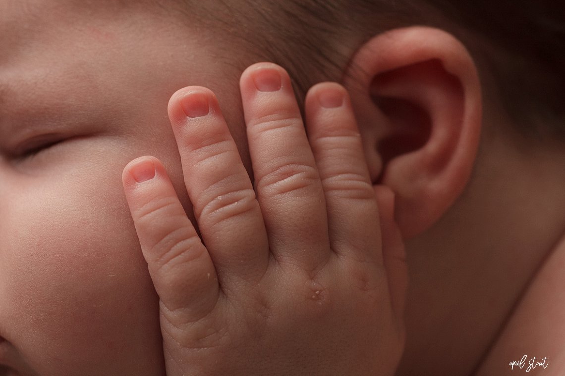 macro image of baby hand by april stout tulsa newborn photographer