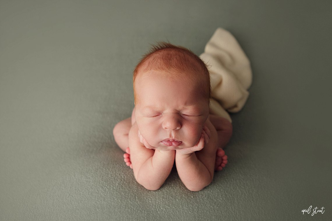 inola newborn photographer april stout froggy pose