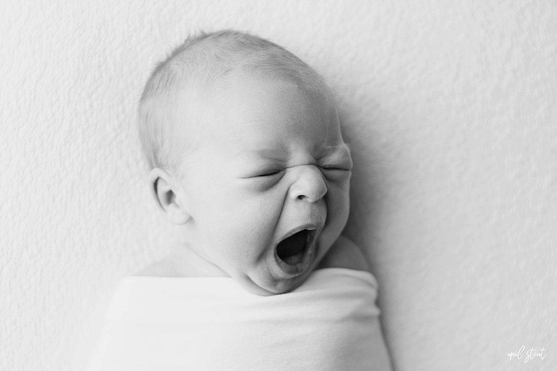 new baby boy on simple white backdrop by April Stout Photography Tulsa Oklahoma