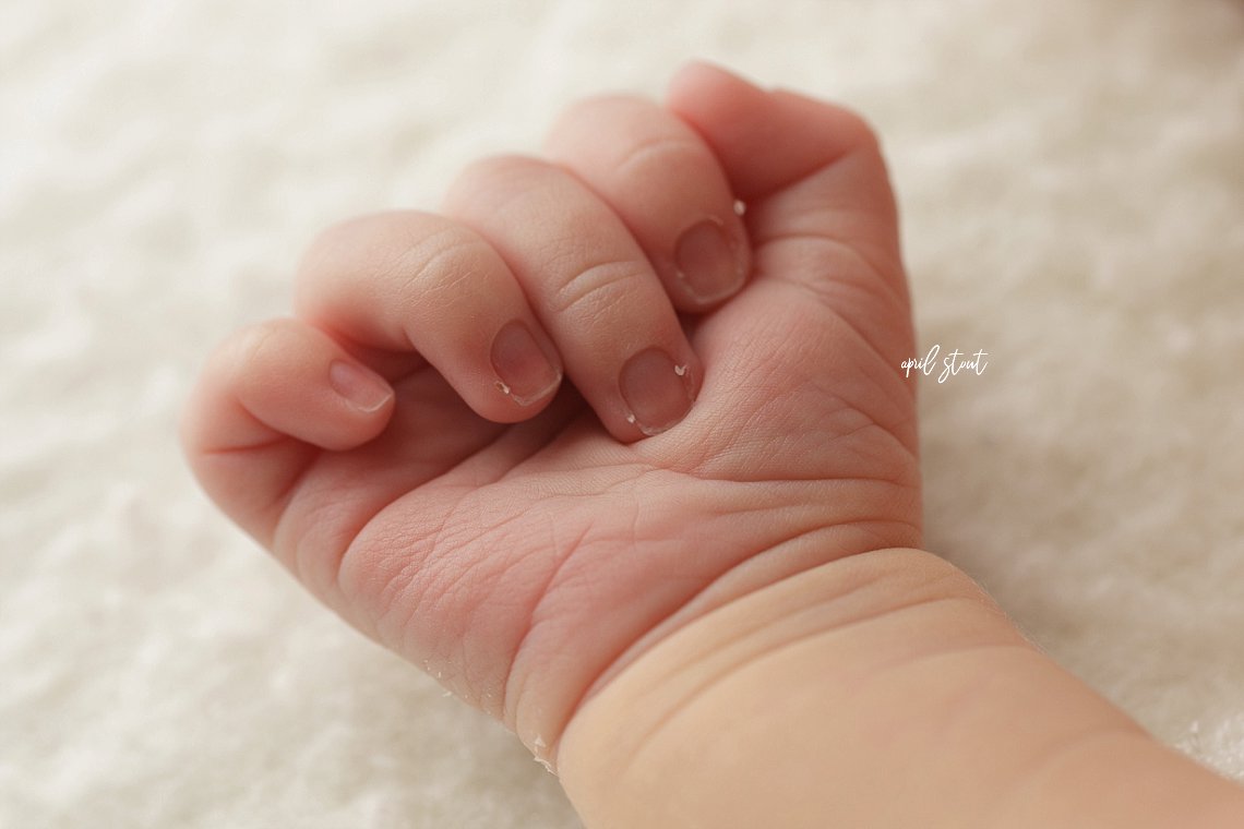 baby pictures April Stout Oklahoma newborn photography