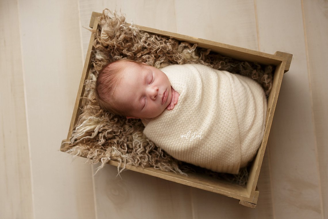 Newborn pictures April Stout Tulsa Oklahoma