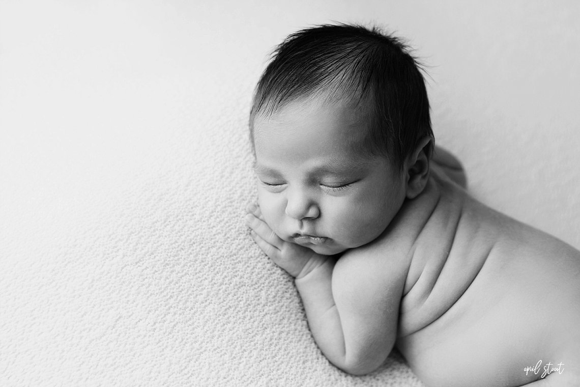 April Stout Photography Tulsa area newborn baby portraits
