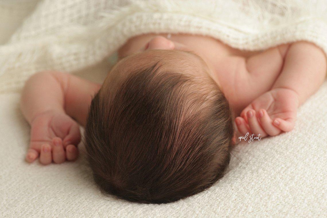April Stout Photography Tulsa area newborn baby portraits